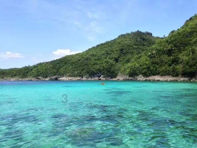 救援受困的鹭